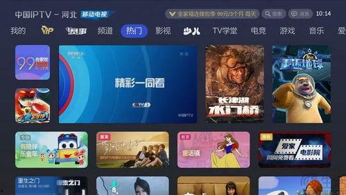 n卡大爆料视频,性能与设计革新大揭秘