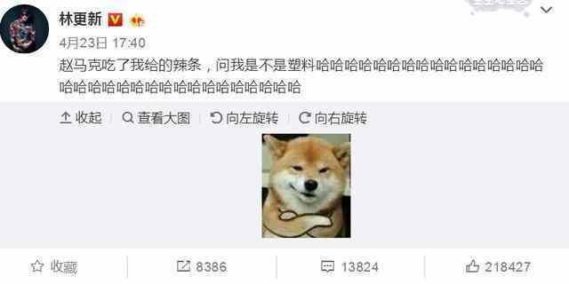 狗仔最新爆料林狗图片,狗仔最新爆料引发热议